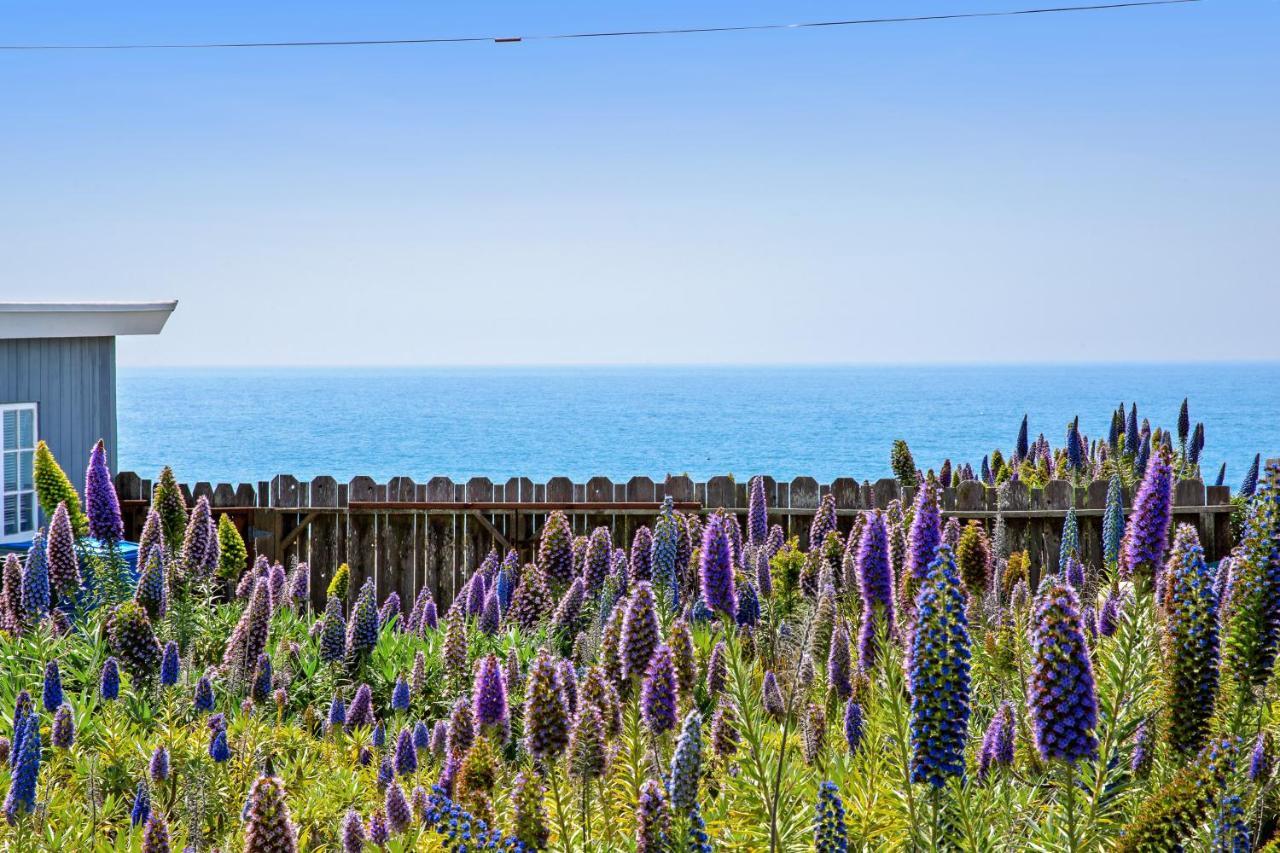 Cozy Carmet Cottage Bodega Bay Bagian luar foto