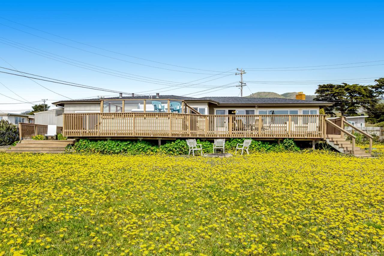 Cozy Carmet Cottage Bodega Bay Bagian luar foto